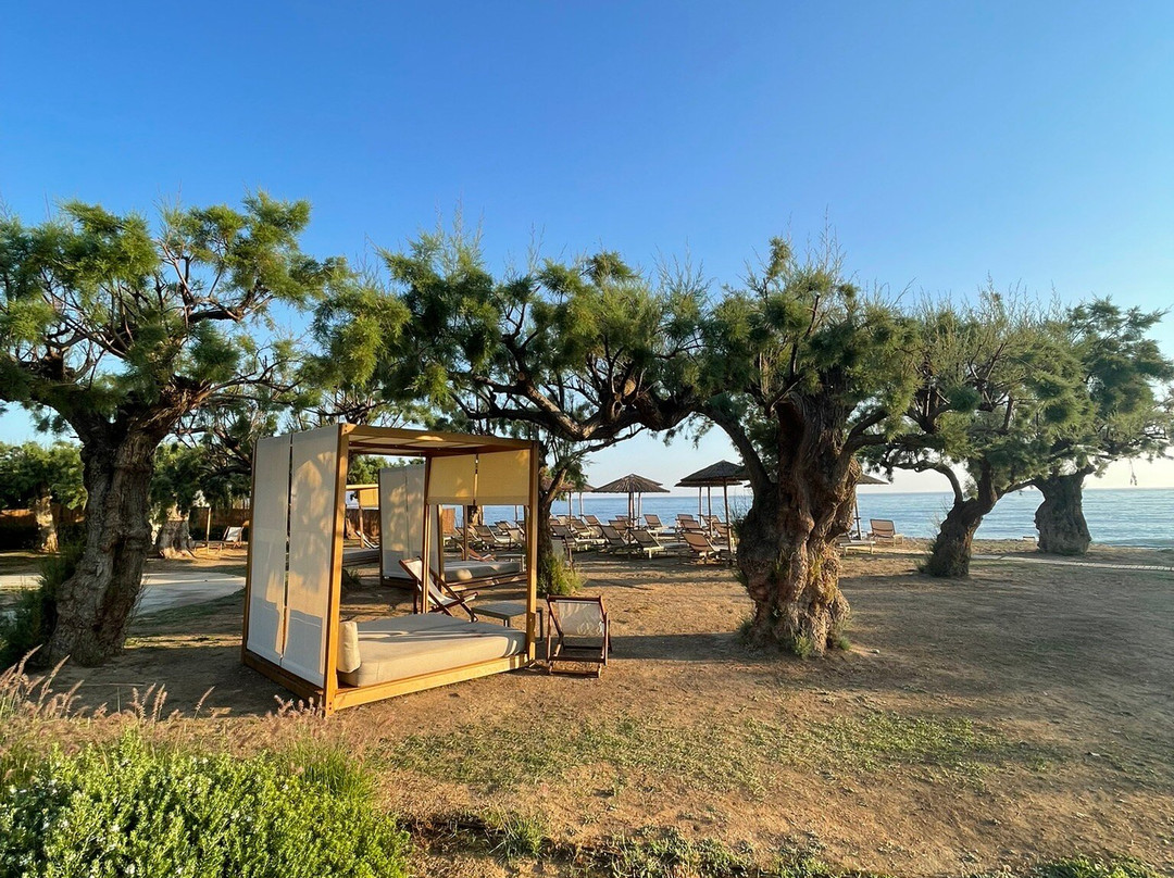 Atlantica Ocean Beach Resort主图