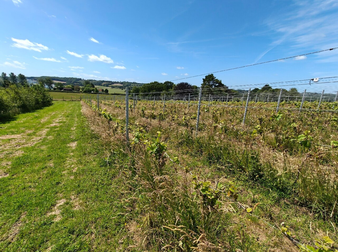 Wayfarer Wines-Woodchurch必去景点