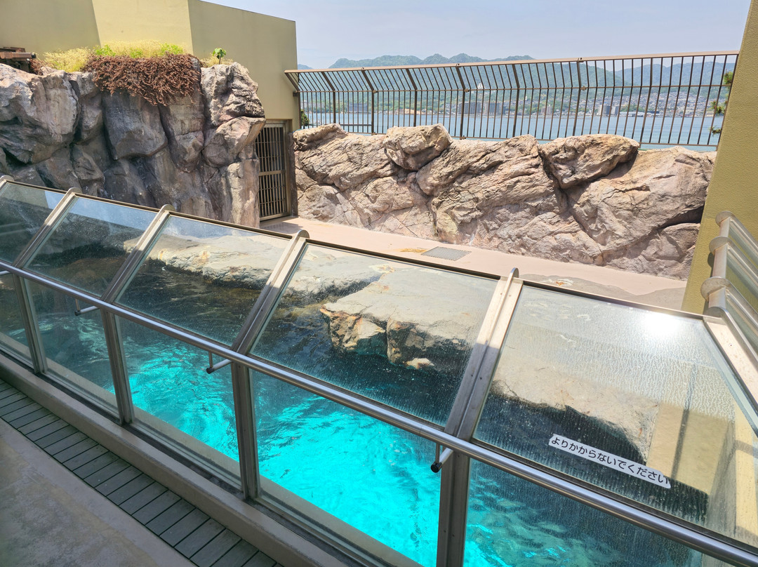 Miyajima Public Aquarium-廿日市市必去景点