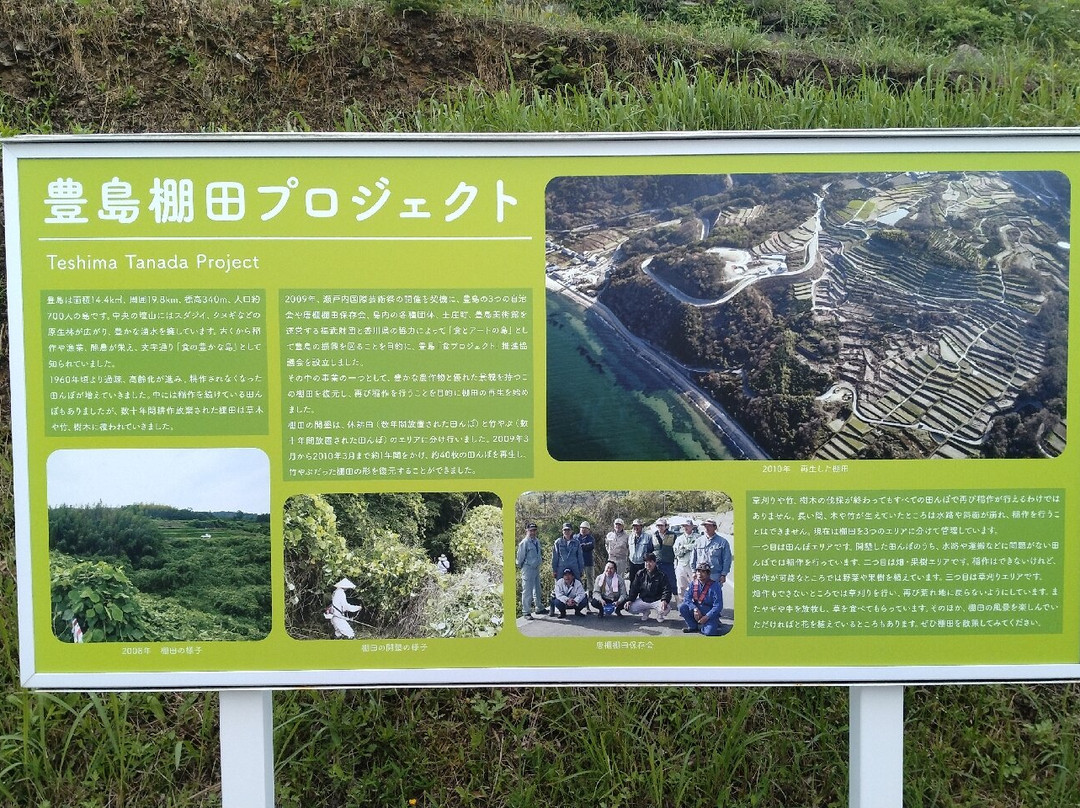 Teshima Terraced Rice Field Project-Teshima必去景点