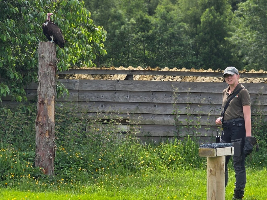 The Lake District Wildlife Park-Bassenthwaite必去景点