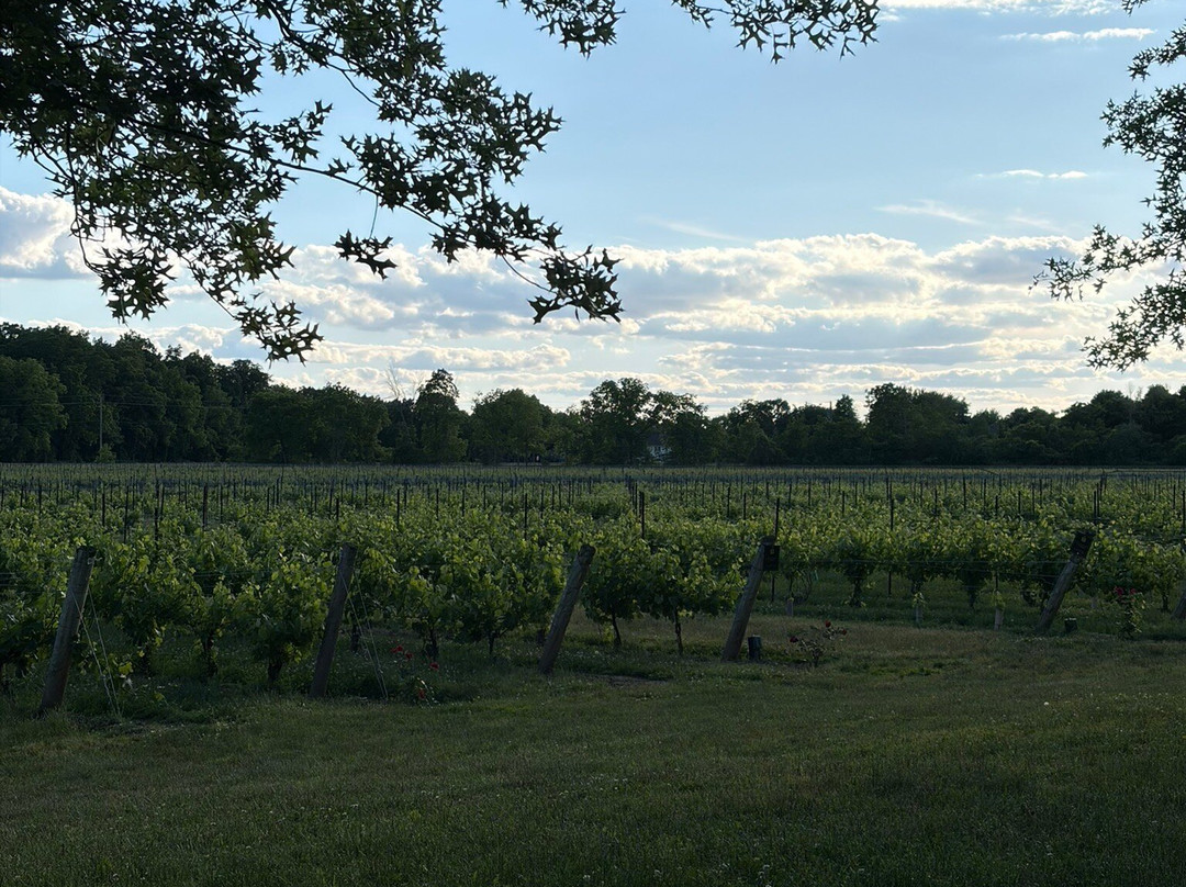 Two Sisters Vineyards-滨湖尼亚加拉必去景点