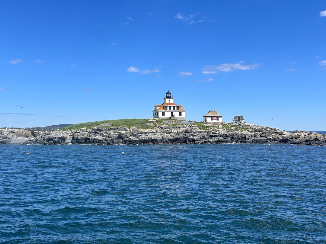 Acadian Boat Tours-巴港必去景点