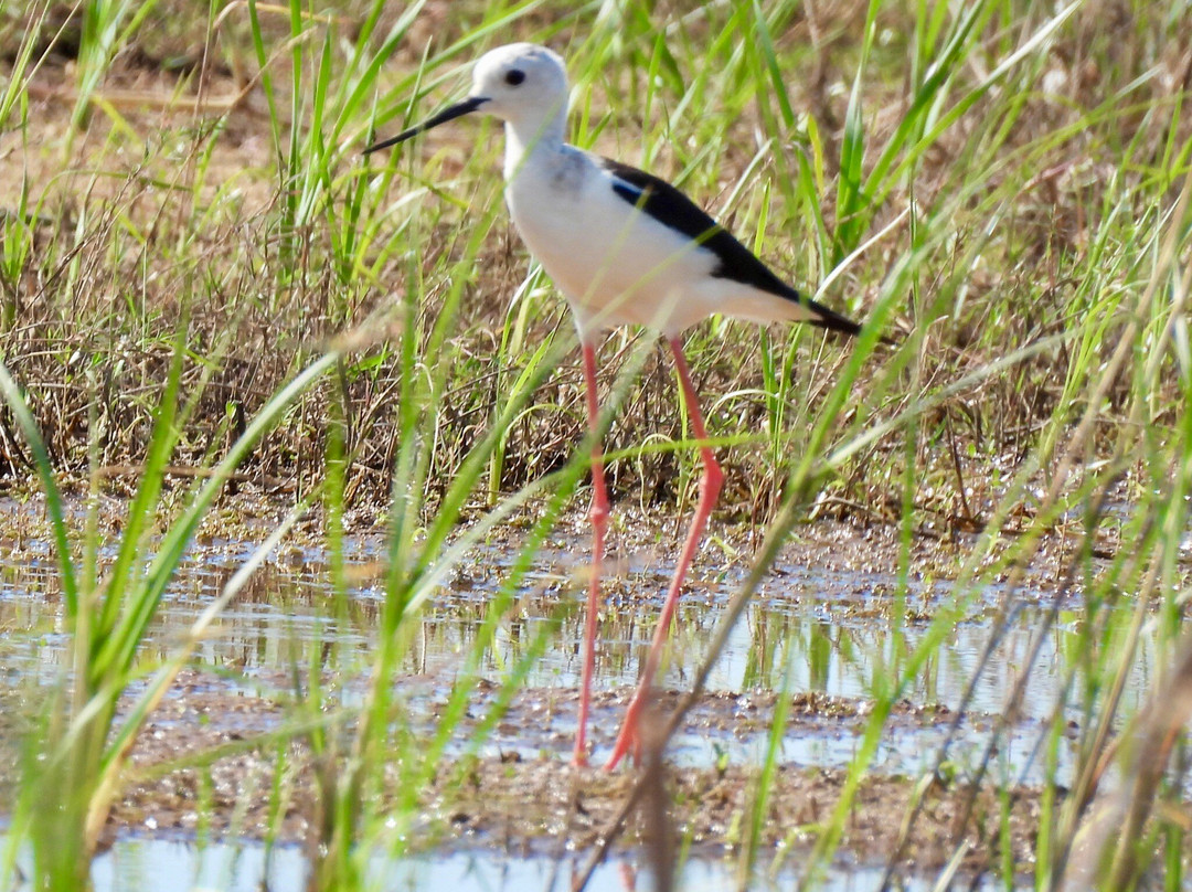 Greece Bird Tours-Marathon必去景点