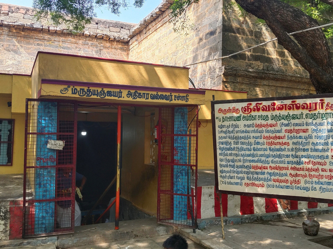 Arulmigu Gneeliwaneswarar Temple-Tiruchirappalli必去景点