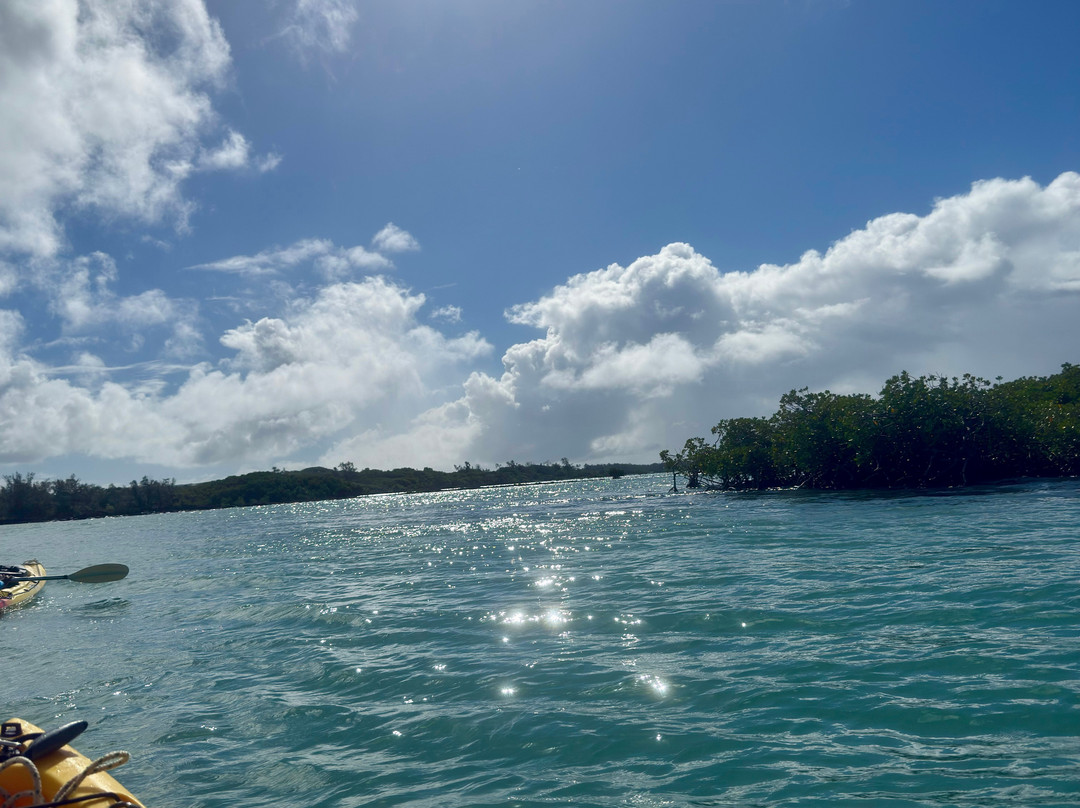 Sea Kayak Adventures-毛里求斯必去景点