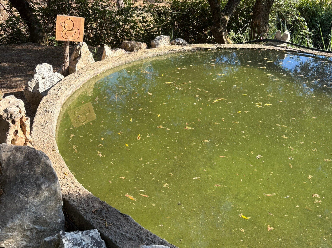Picnic in Leeda's Farm-Lithakia必去景点