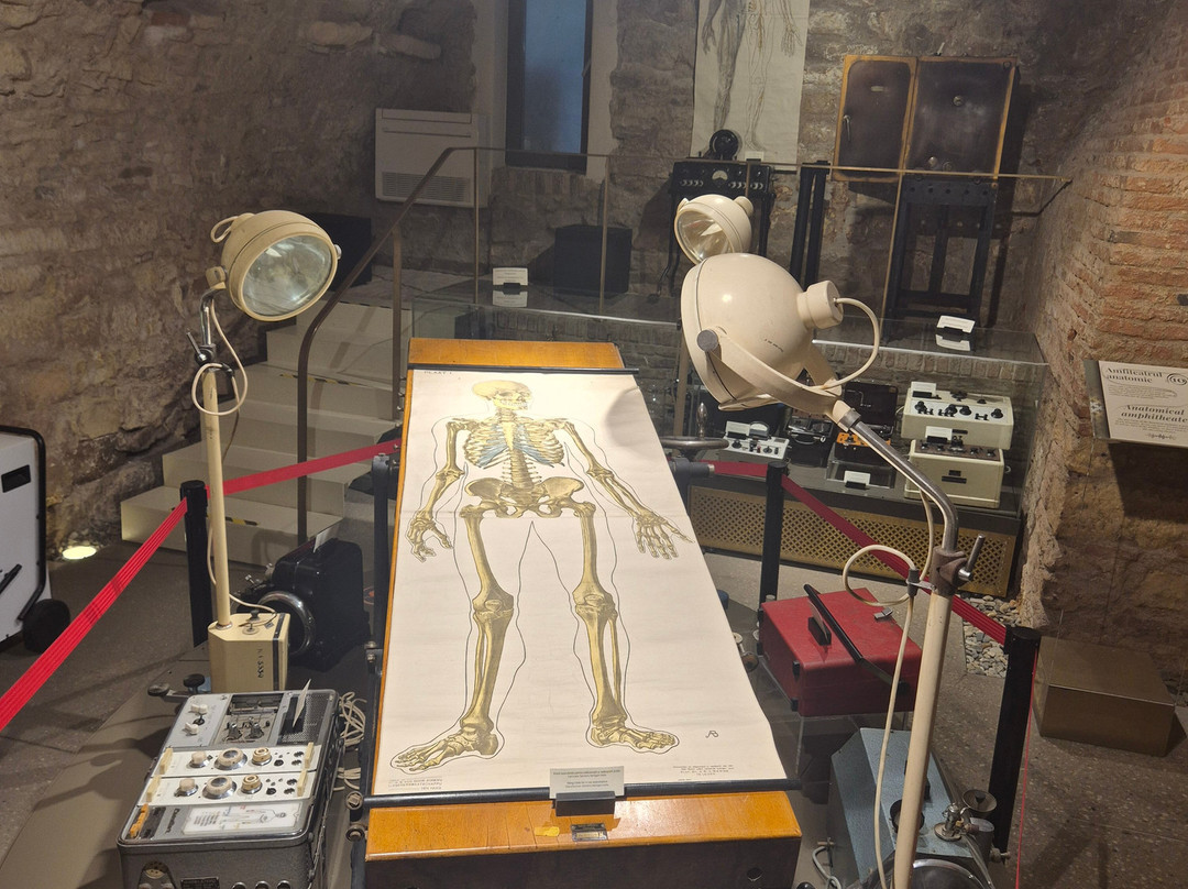 The Pharmacy Museum Cluj  - Mnit-克卢日-纳波卡必去景点
