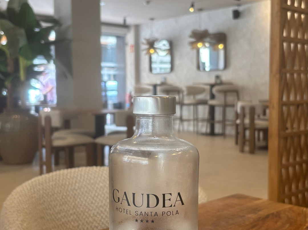 Hotel Gaudea Santa Pola主图