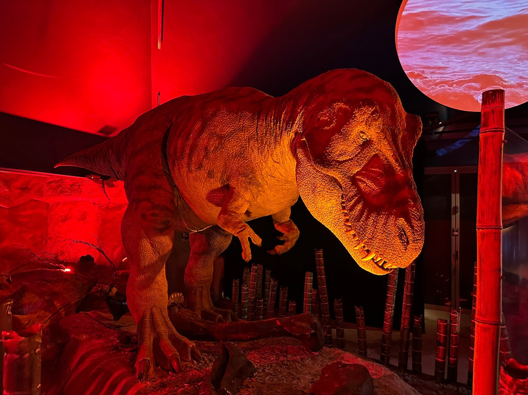 Jurassic Discovery-Seaton必去景点