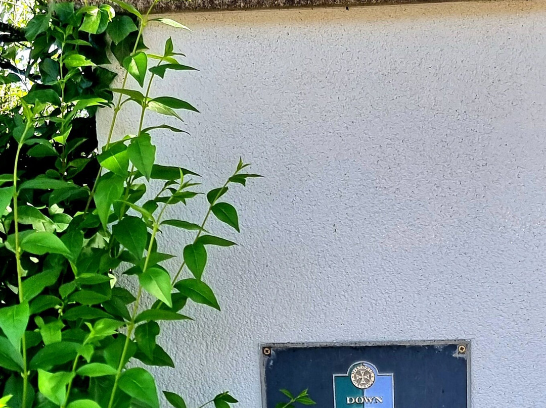 1798 Saintfield Walking Tour-Saintfield必去景点