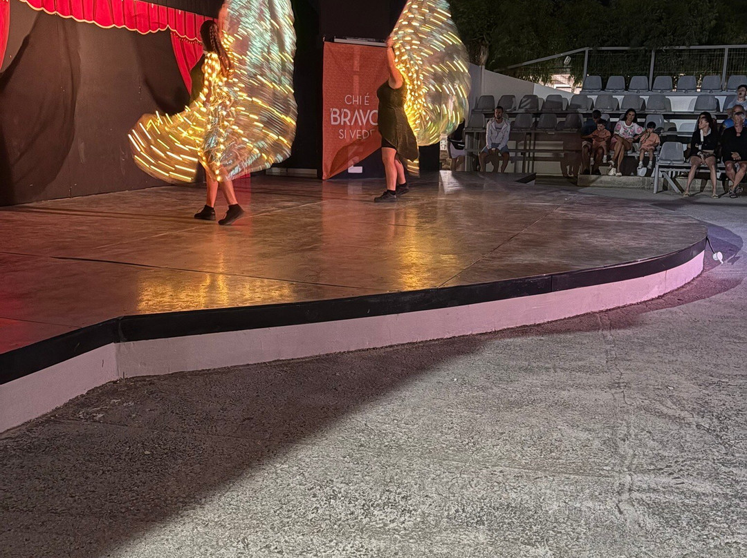 阿克蒂皇宫酒店主图