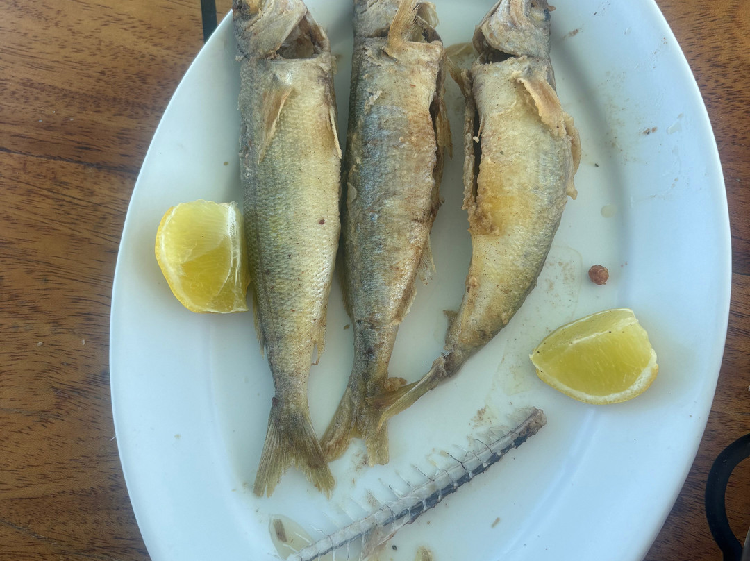 Eva Traditional Fishing Trips-Elounda必去景点