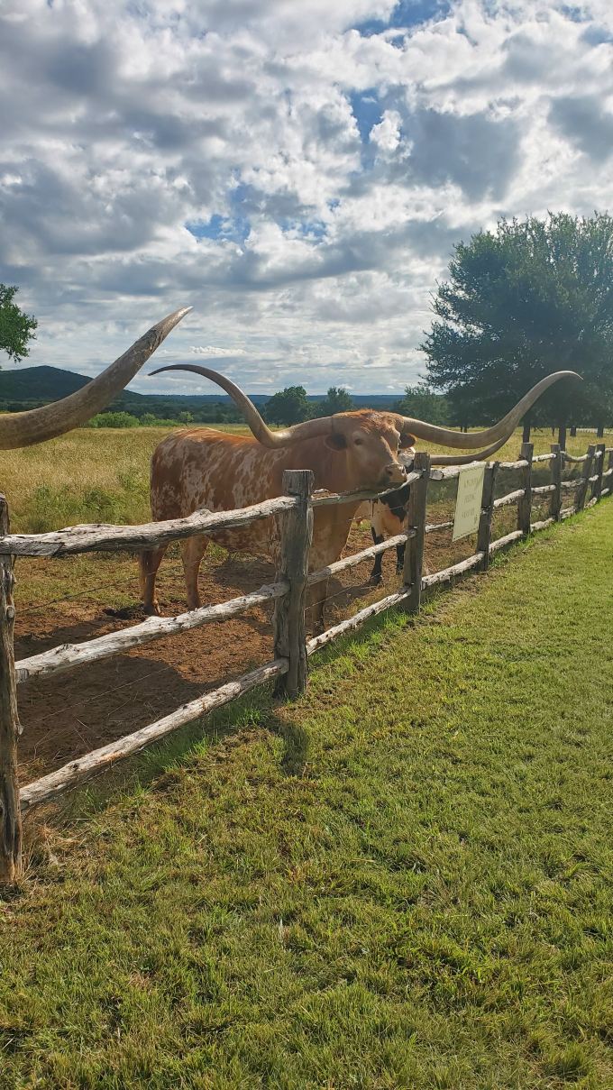 Wildcatter Ranch-旅行者