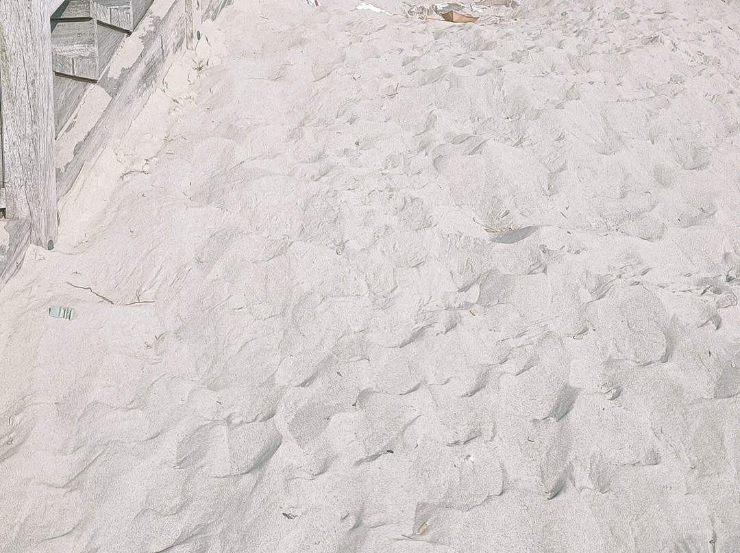 Berck Sur Mer-Berck必去景点