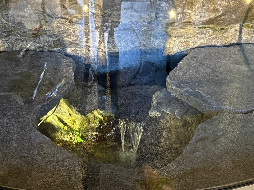 Grotte de Massabielle-卢尔德必去景点
