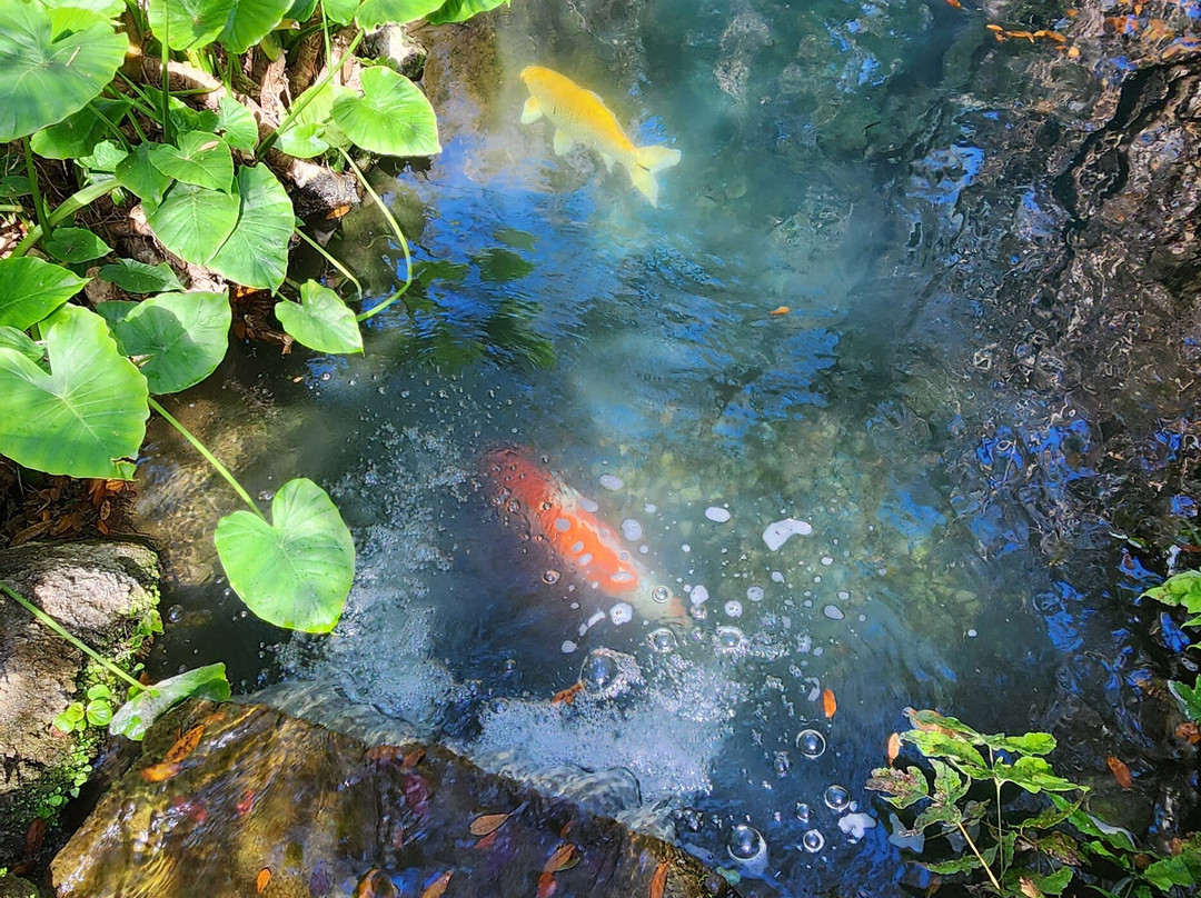 Cedar Lakes Woods & Gardens-Williston必去景点
