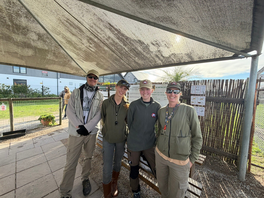 Cheetah Outreach - Somerset West-西索美塞必去景点