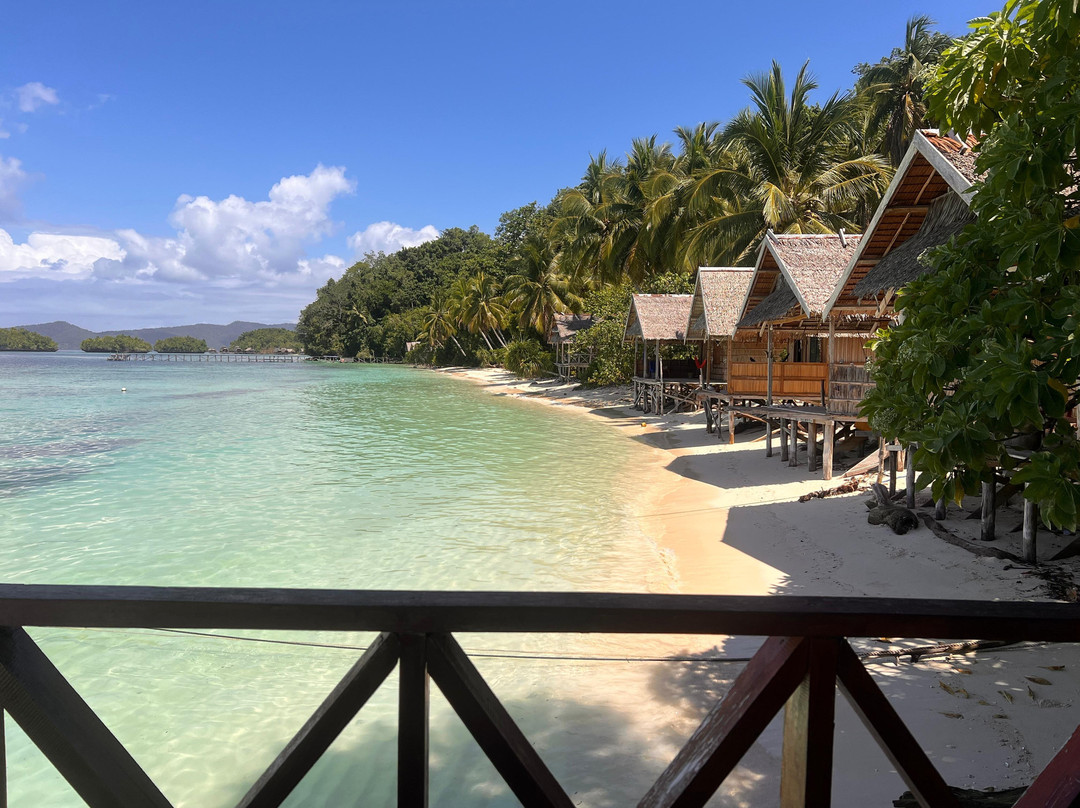 Raja Ampat Dive Trips-Arborek必去景点