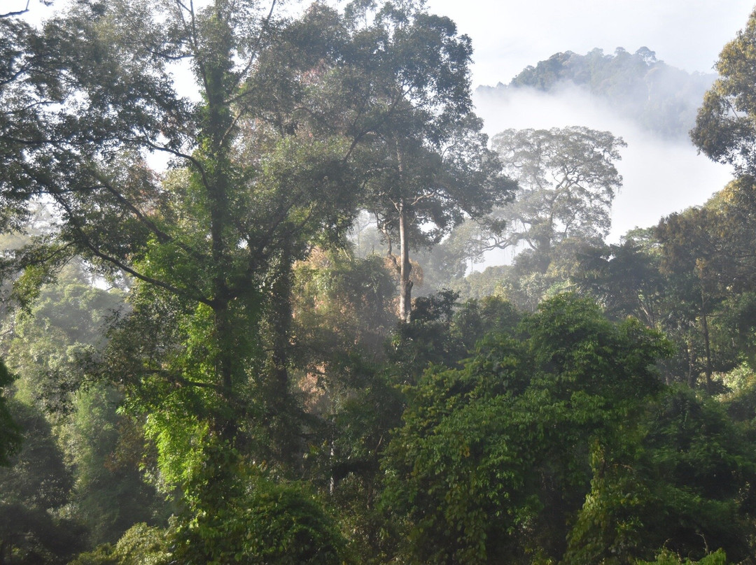 Borneo Eco Tours-亚庇必去景点