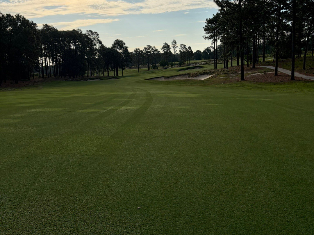 Pinehurst Golf Resort主图