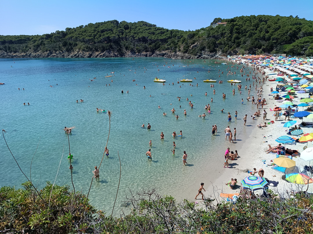 Spiaggia di Fetovaia-Campo nell'Elba必去景点