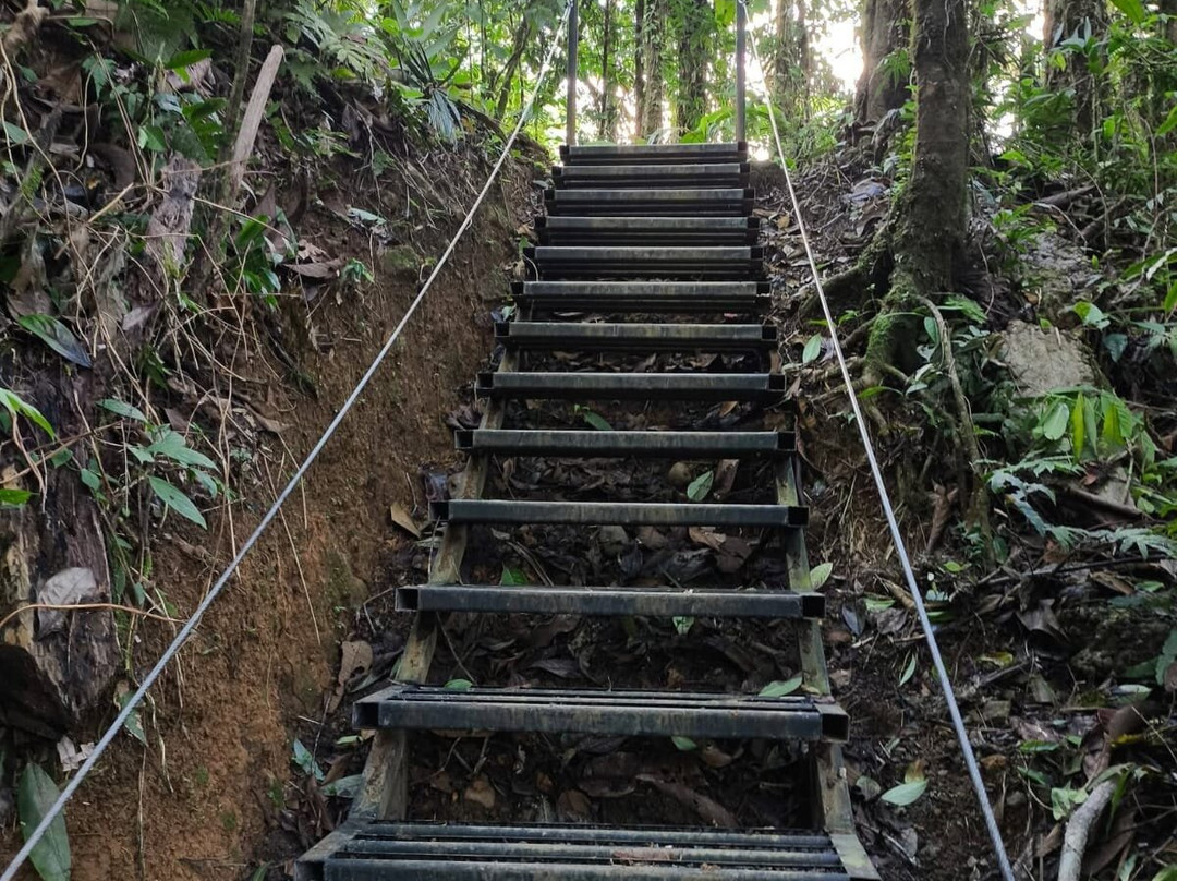 Sendero Las Sorpresas Rio Celeste-Bijagua de Upala必去景点