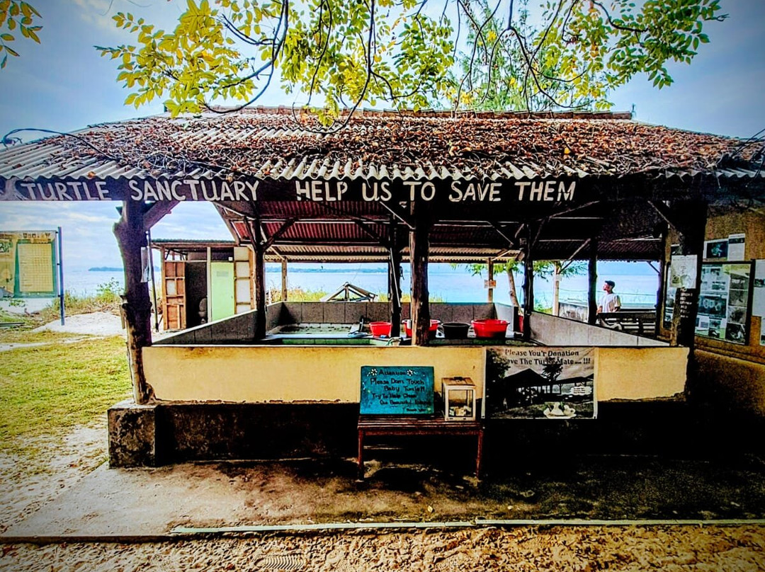 Gili Meno Turtle Sanctuary-Gili Meno必去景点