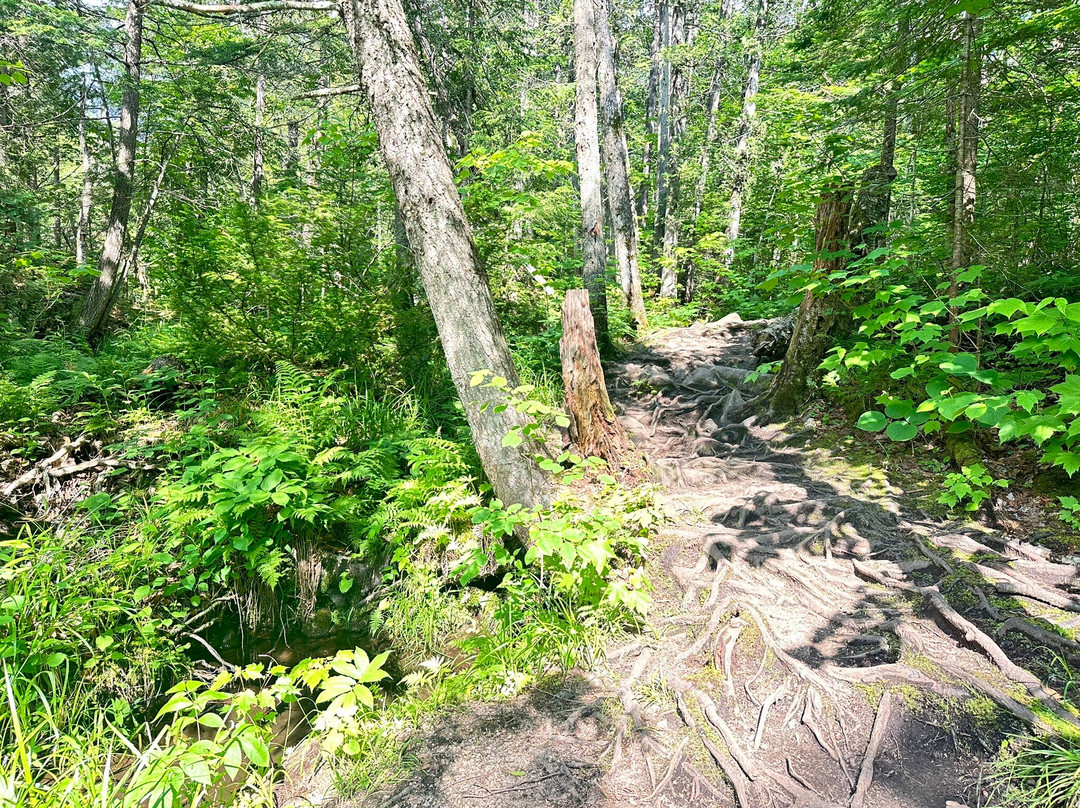 Parc de la Rivière Doncaster-Sainte-Adele必去景点
