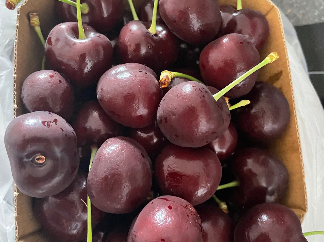 Karensminde Frugtplantage-奥德必去景点