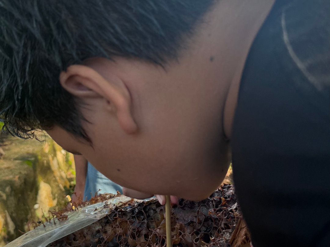 勿里洞瑞士贝尔度假村主图