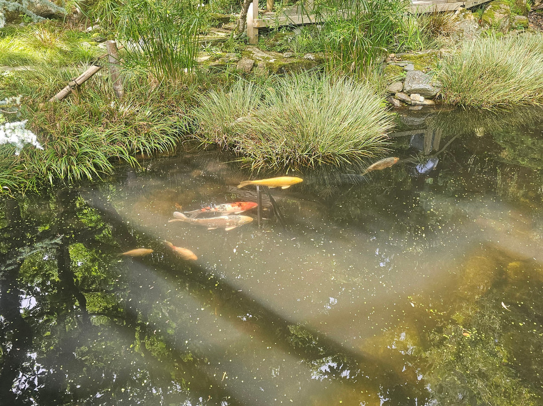 The Japanese Garden-St. Mawgan必去景点