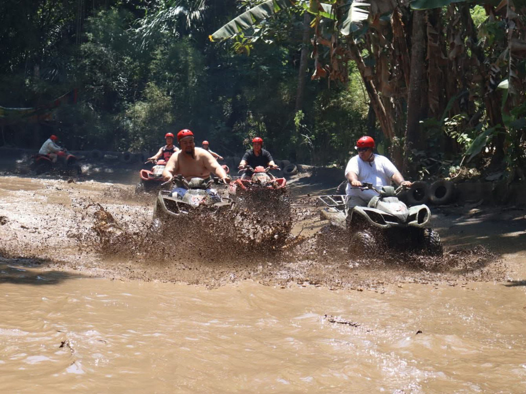 Artha bali tours-乌布必去景点