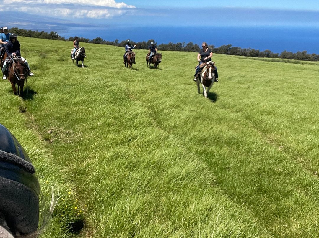 Na'alapa Stables - Kahua Ranch-卡慕也拉必去景点