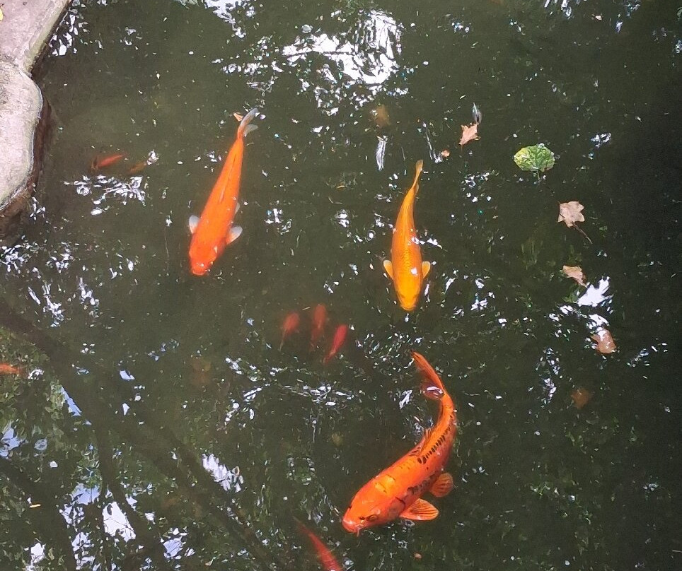 Jardin des Plantes-昂热必去景点