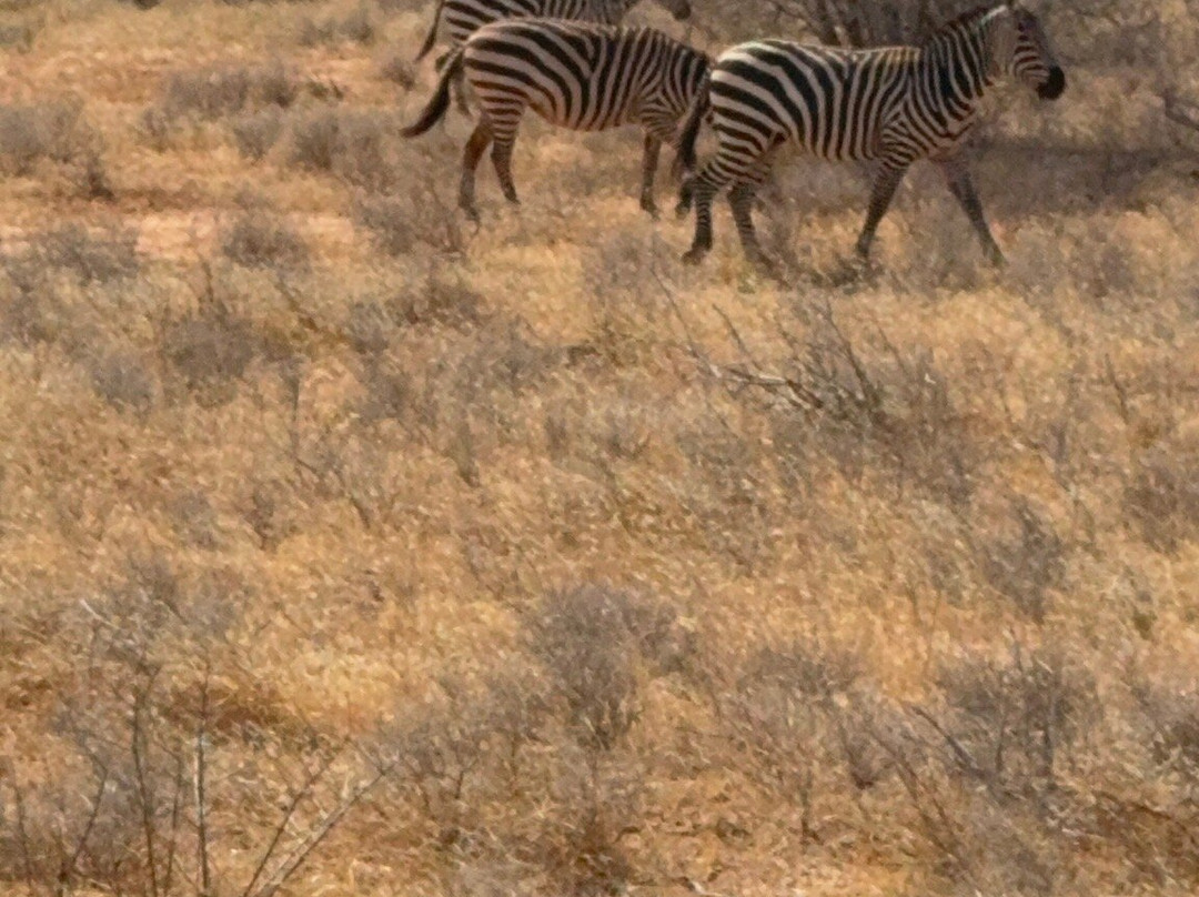 Gattokko - Safari e Tours in Kenya-瓦塔木必去景点