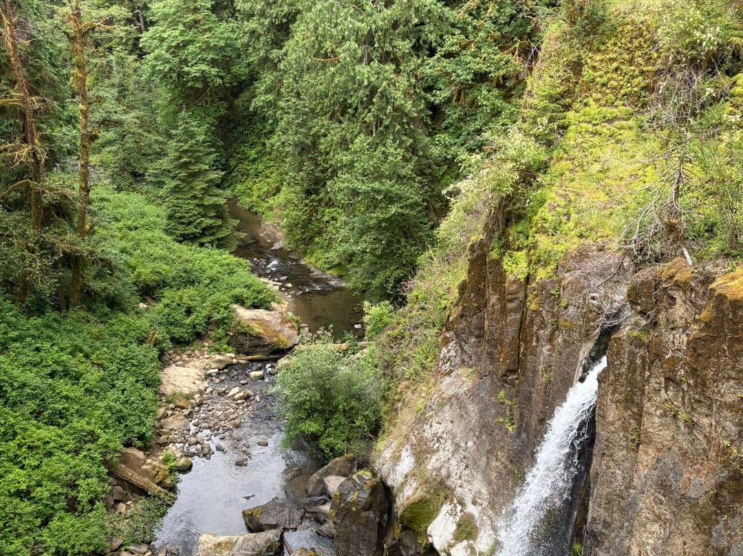 Drift Creek Falls Trail-Otis必去景点