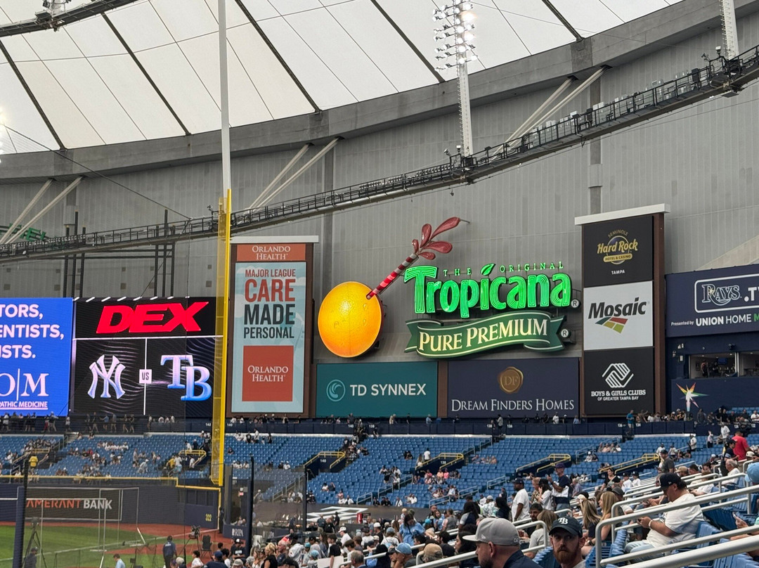 Tropicana Field-圣彼德斯堡必去景点