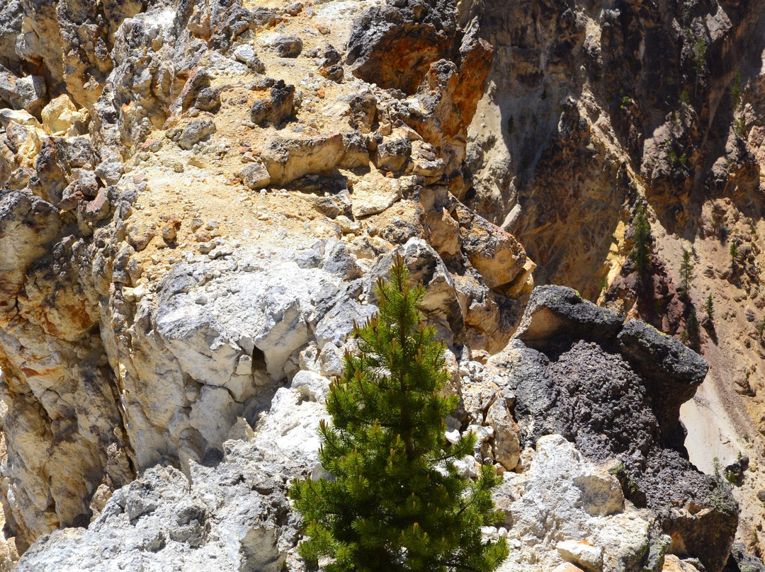 Yellowstone National Park-黄石国家公园必去景点