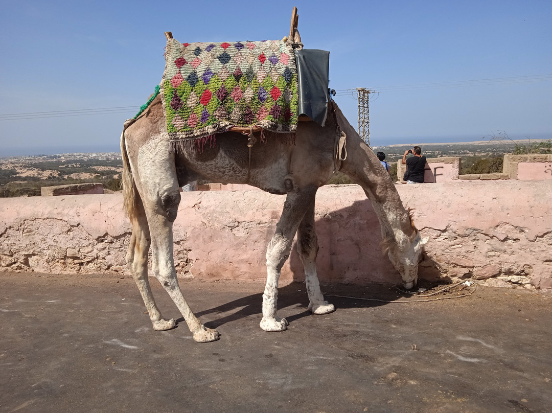 Tours Across Morocco-马拉喀什必去景点