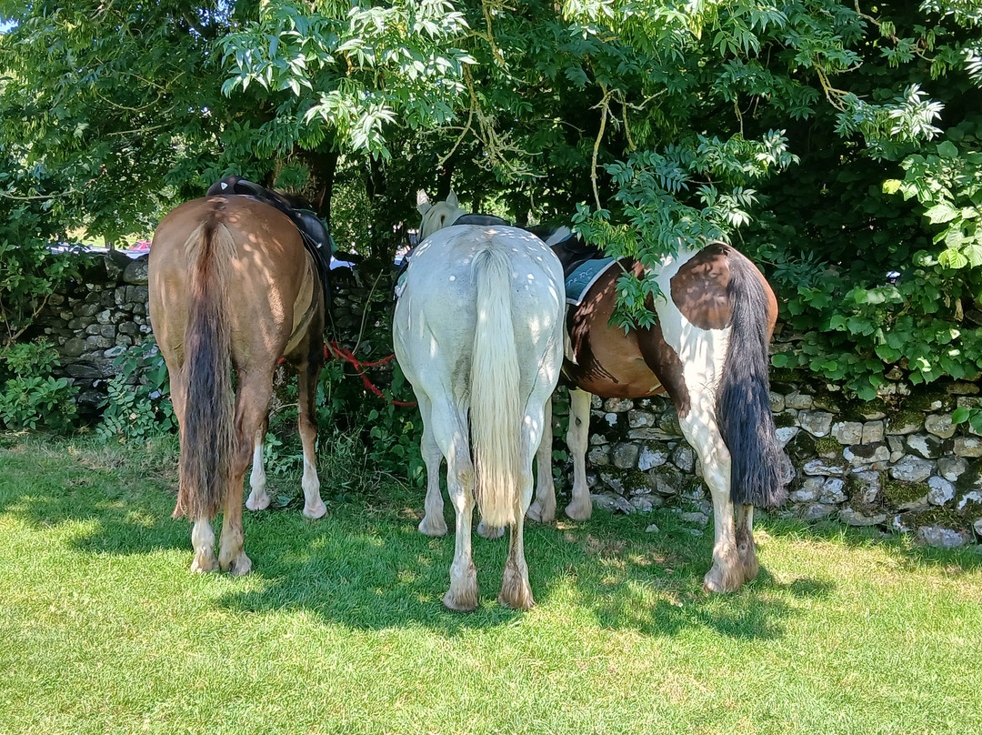 Kilnsey Trekking & Riding Centre-斯基普顿必去景点