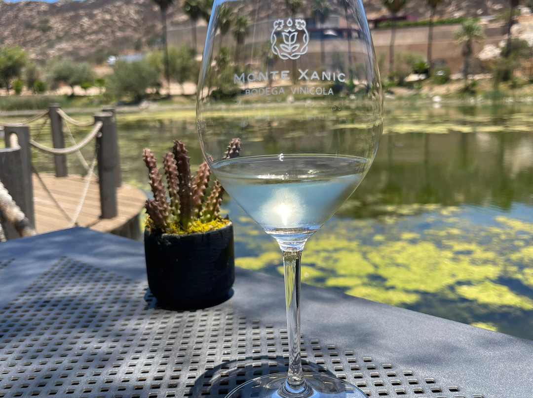 Monte Xanic Bodega Vinícola-Valle de Guadalupe必去景点