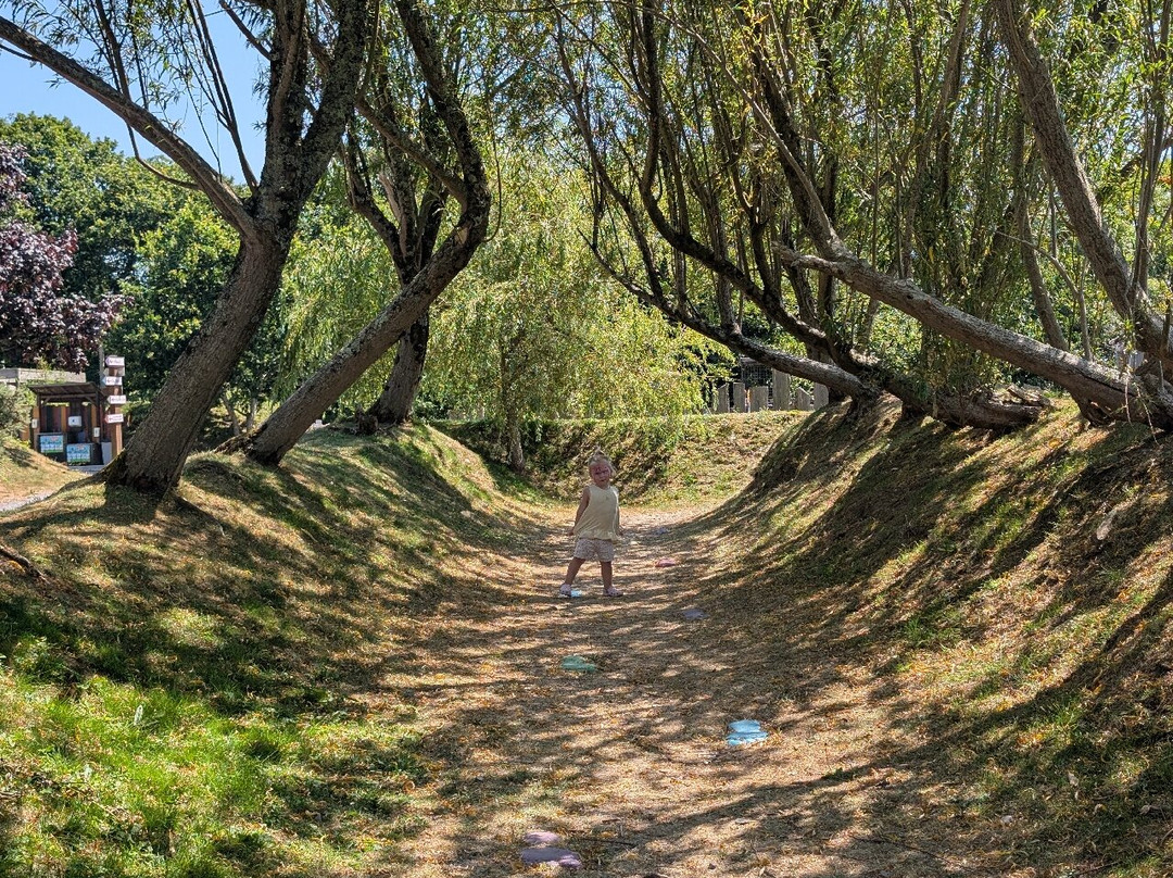 Gypsy Wood Park-卡那封必去景点