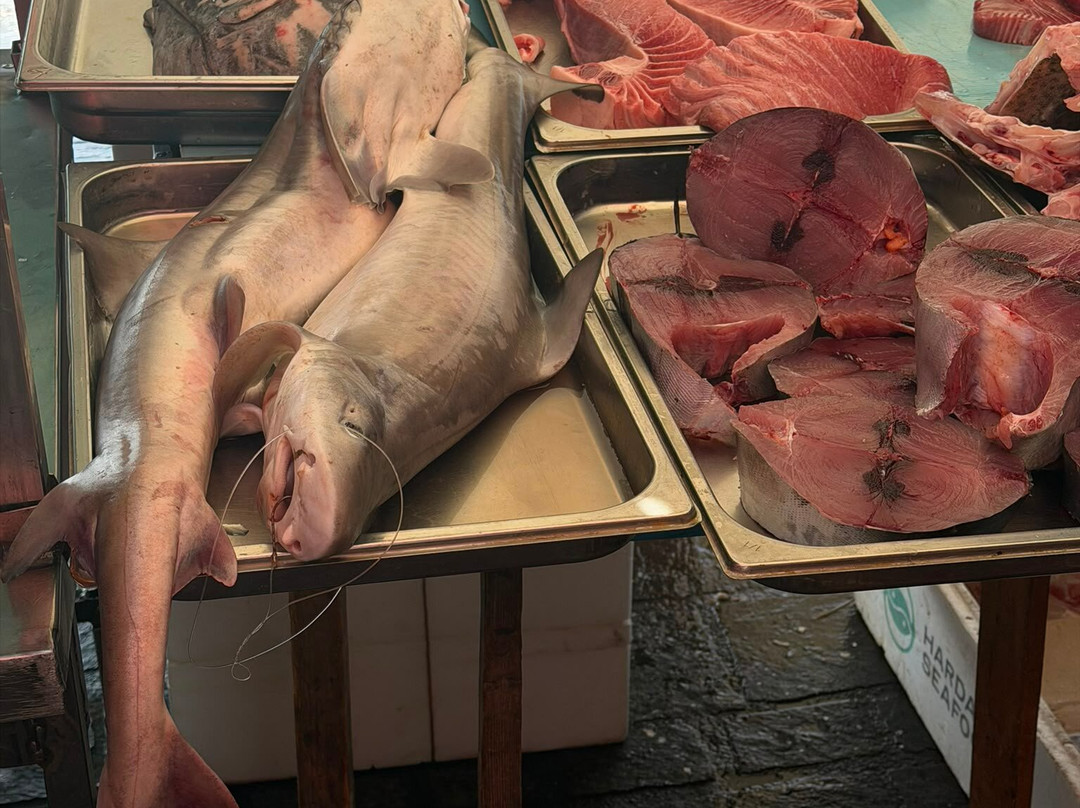 Marsaxlokk Market-Marsaxlokk必去景点