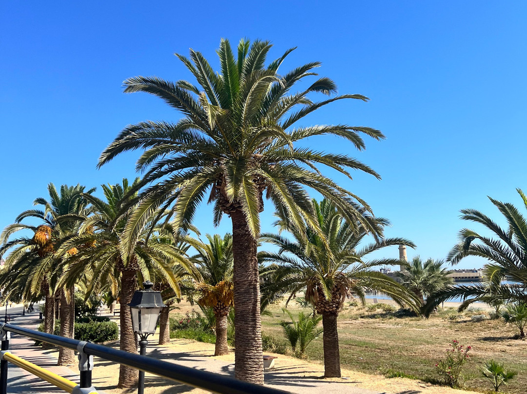 Rethymno City Tour-雷斯蒙必去景点