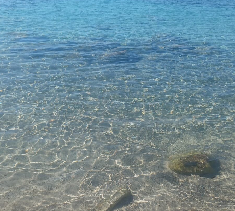 Hotel Cala Fiorita主图