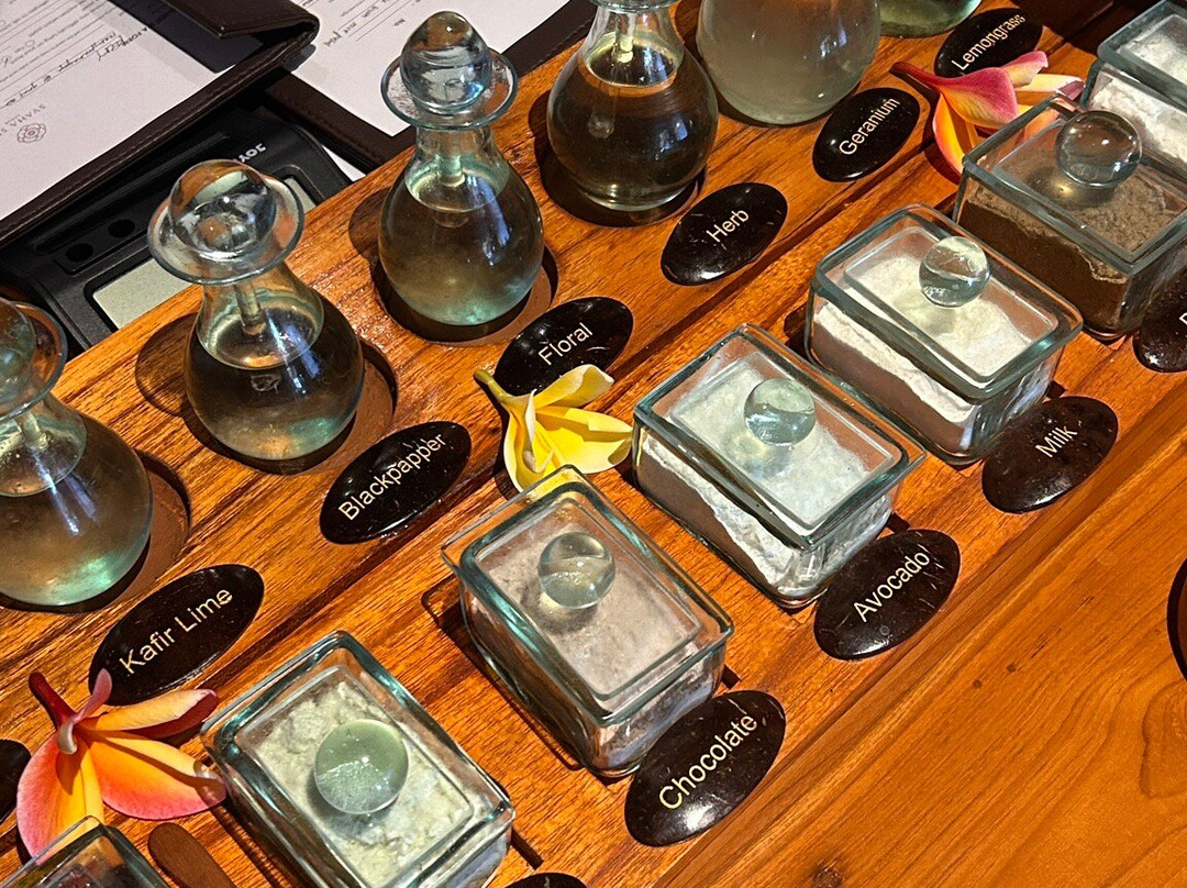 Svaha Spa Sanur by Svaha Wellness-沙努尔必去景点