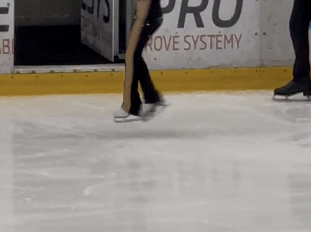 Ryabinin Figure Skating Camps - Teplice-特普利采必去景点