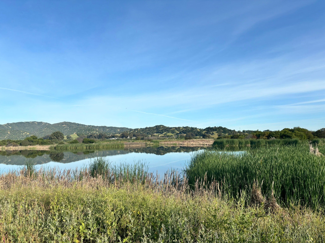 Las Gallinas Valley Sanitary District