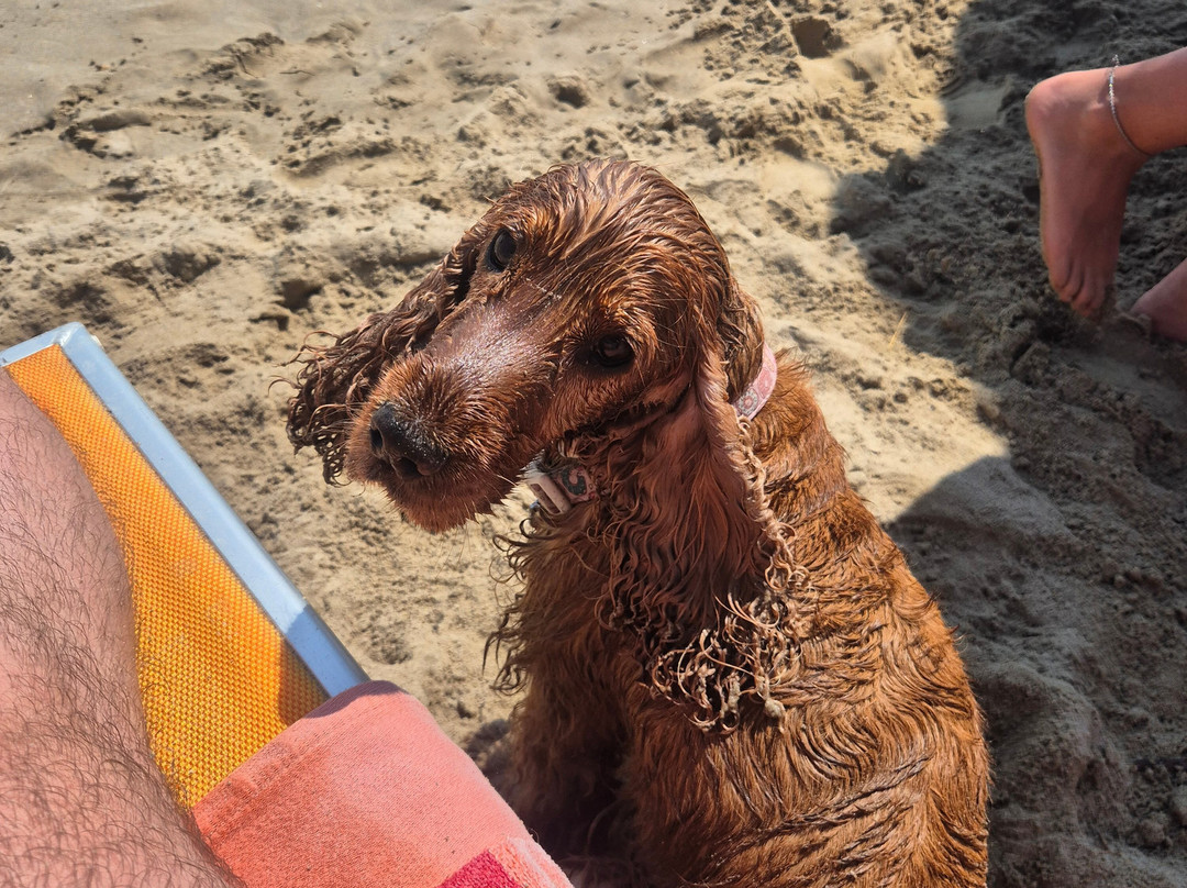 Scoobydoo Beach-Campomarino Lido必去景点